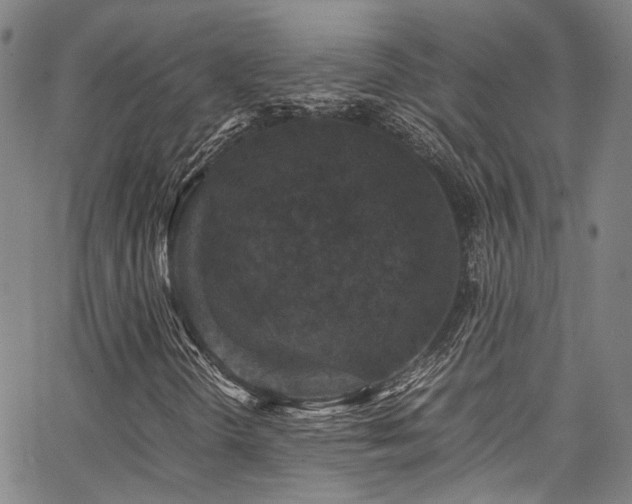 X0000066111298200603101156