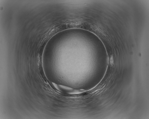 X0000066111299200603101156