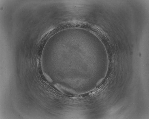 X0000066111302200603101156