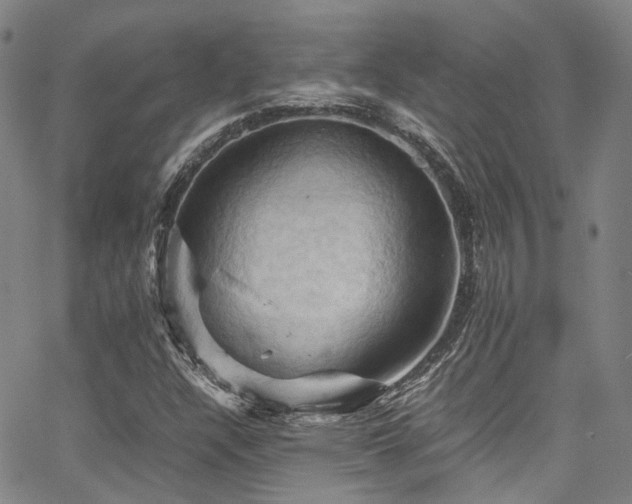 X0000066111304200603101156