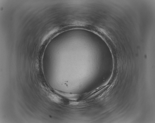 X0000066111307200603101156