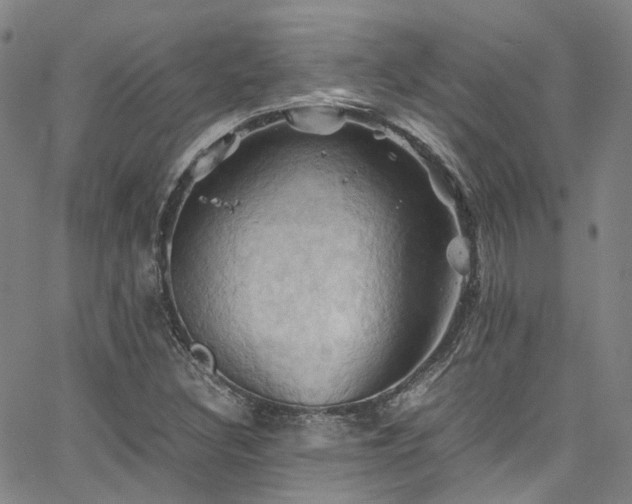 X0000066111308200603101156