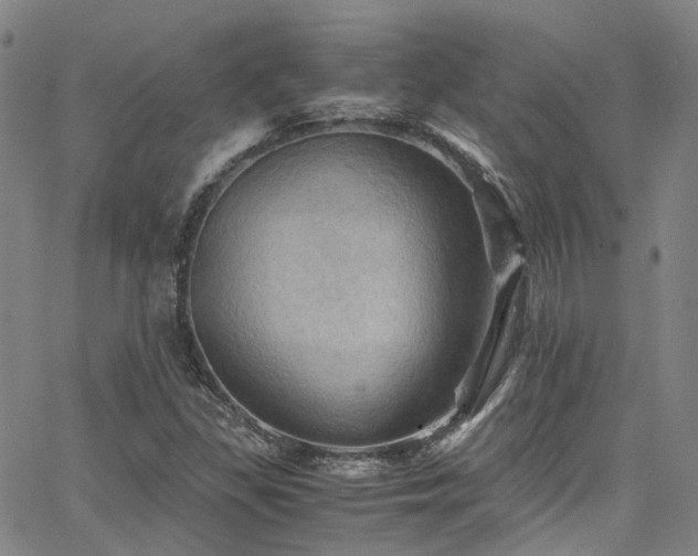 X0000066111309200603101156