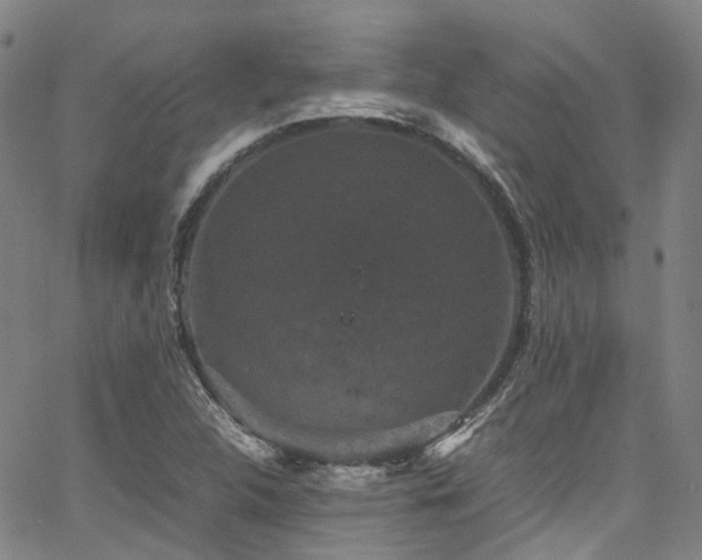 X0000066111312200603101156