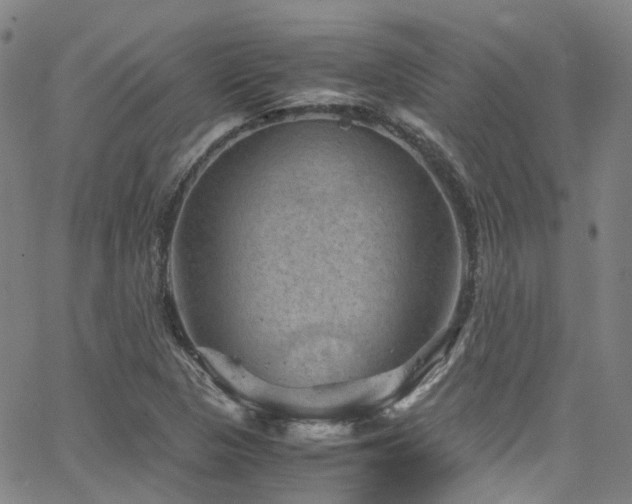 X0000066111313200603101156