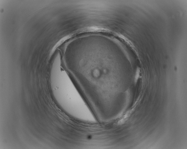 X0000066111314200603101156