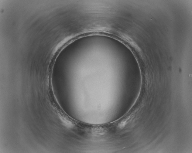 X0000066111316200603101156