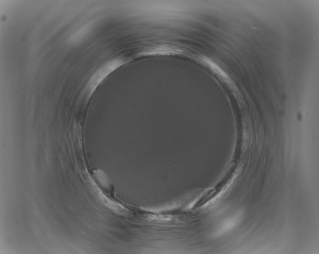 X0000066111329200603101156