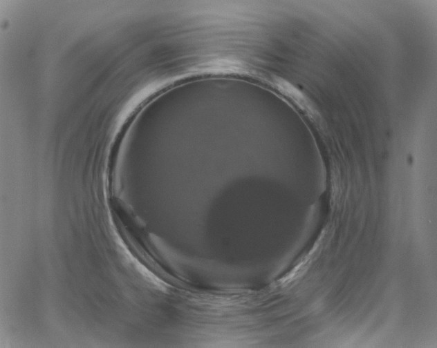 X0000066111334200603101156