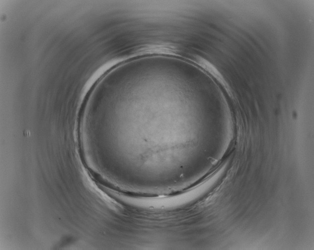 X0000066111339200603101156