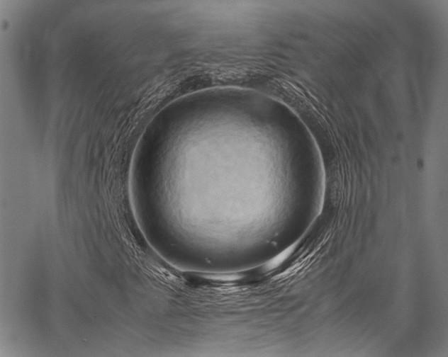 X0000066111345200603101156