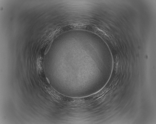 X0000066111346200603101156