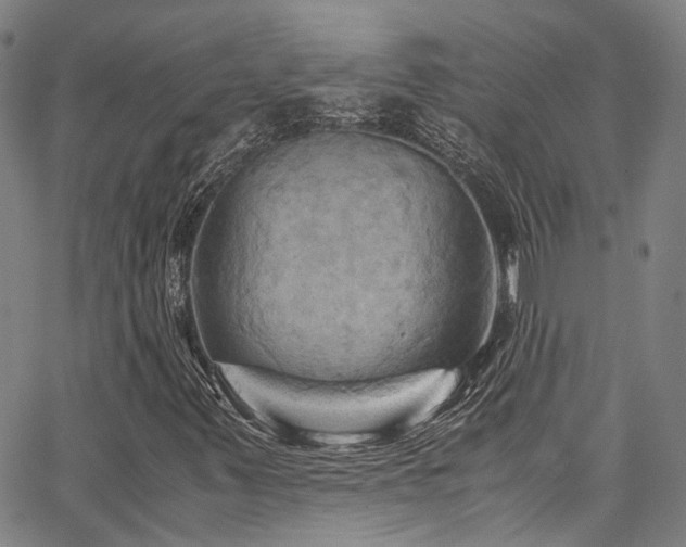 X0000066111347200603101156