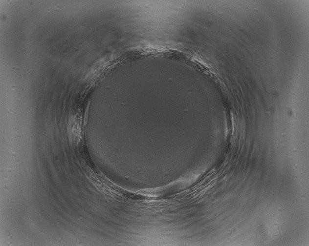 X0000066111348200603101156