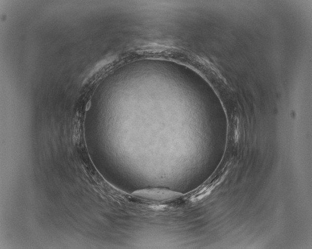 X0000066111350200603101156