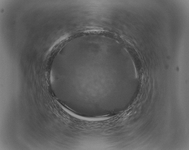 X0000066111351200603101156