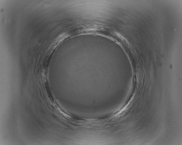 X0000066111353200603101156