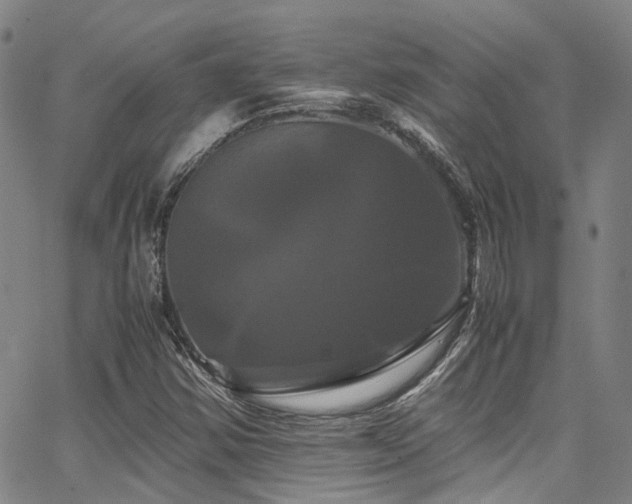 X0000066111354200603101156
