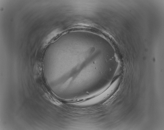 X0000066111355200603101156