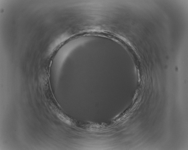 X0000066111359200603101156