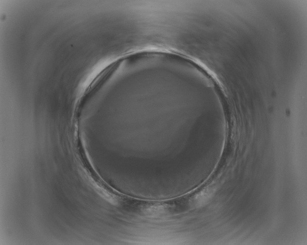 X0000066111367200603101155