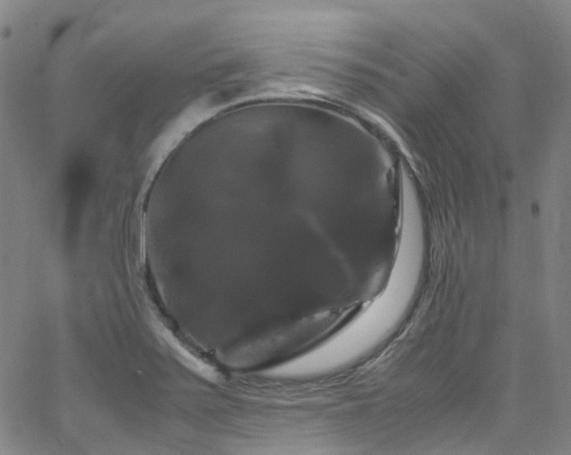 X0000066111371200603101155