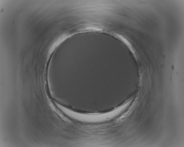 X0000066111373200603101155
