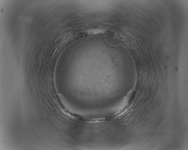X0000066111393200603101154
