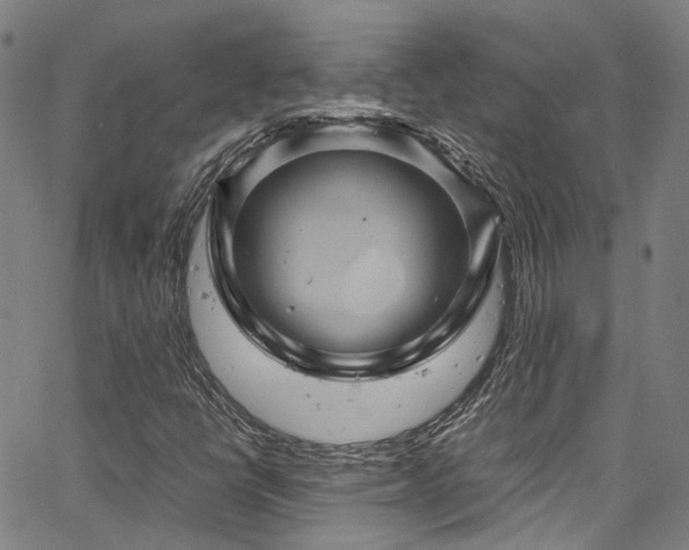 X0000066111398200603101154