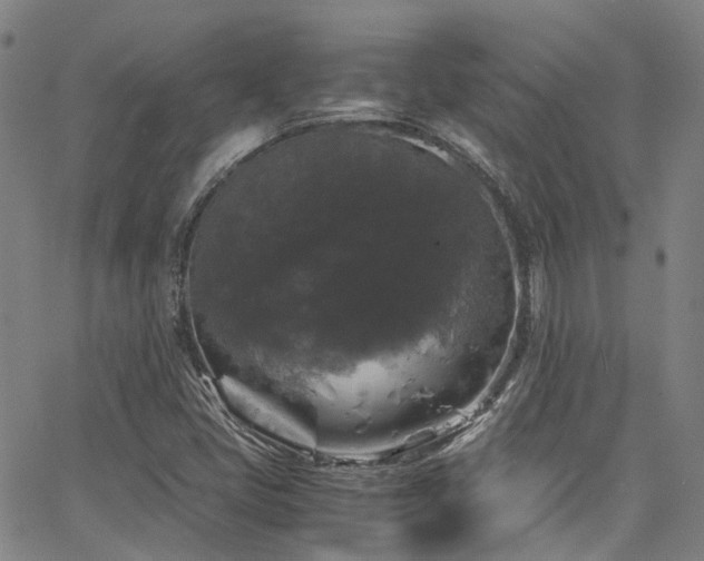 X0000066111405200603101154