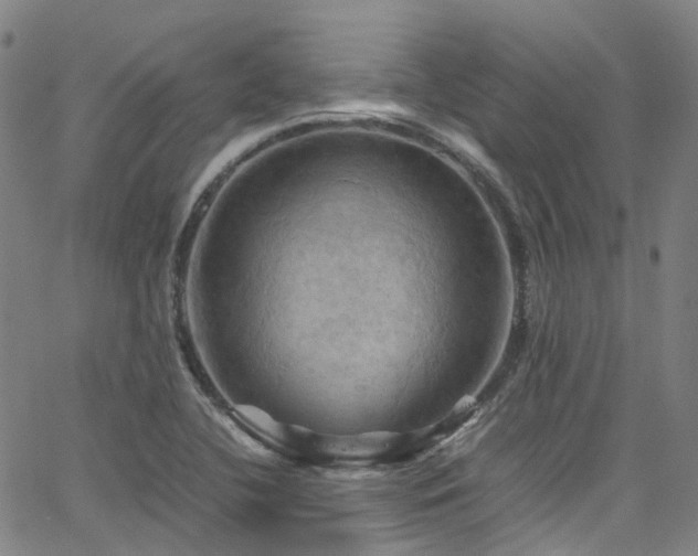 X0000066111412200603101155