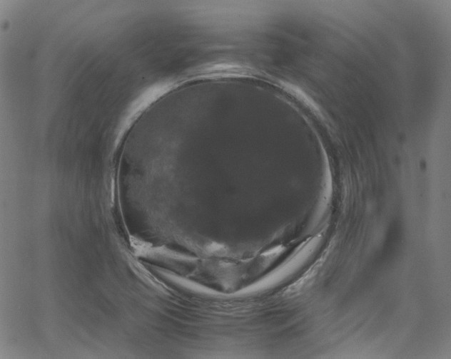 X0000066111413200603101155