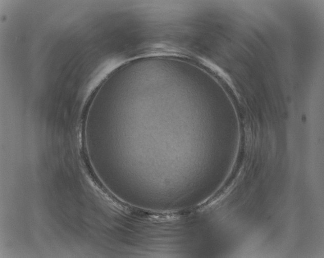 X0000066111415200603101155