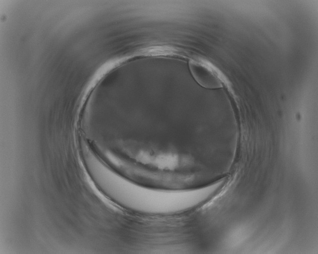 X0000066111429200603101155