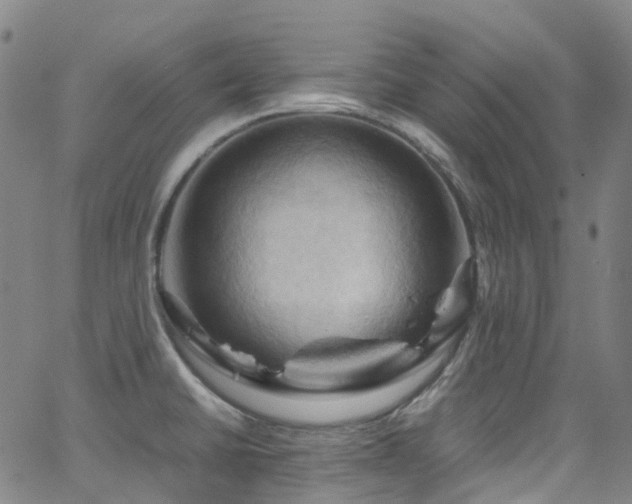 X0000066111430200603101155