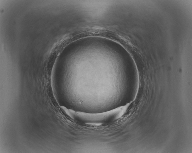 X0000066111447200603101154