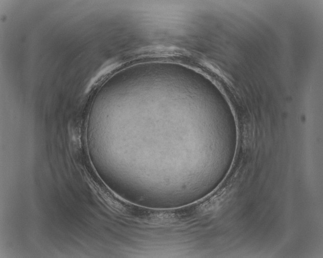 X0000066111451200603101154