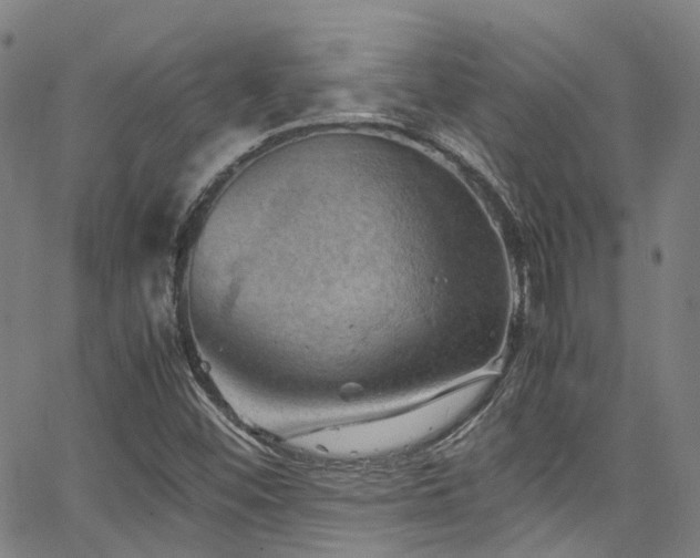 X0000066111452200603101154