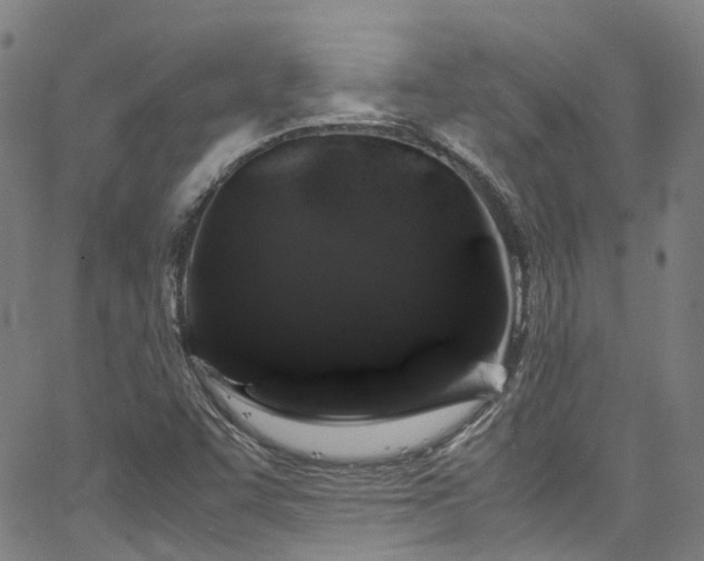 X0000066111455200603101154