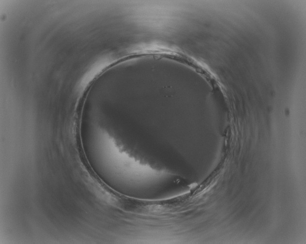 X0000066111463200603101154