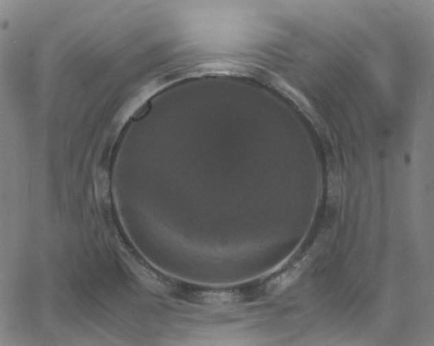 X0000066111465200603101154