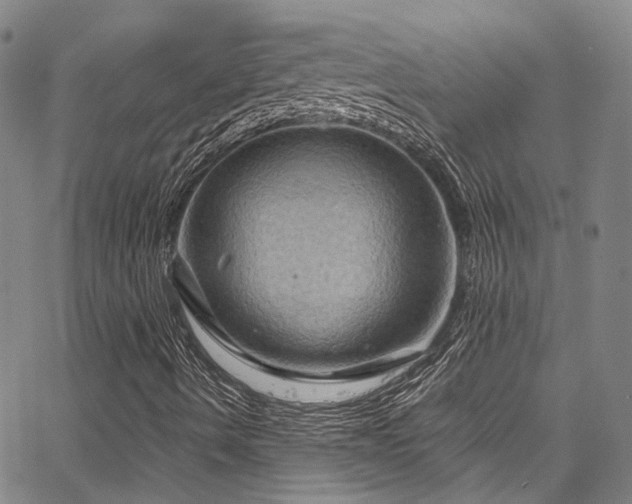 X0000066111490200603101153