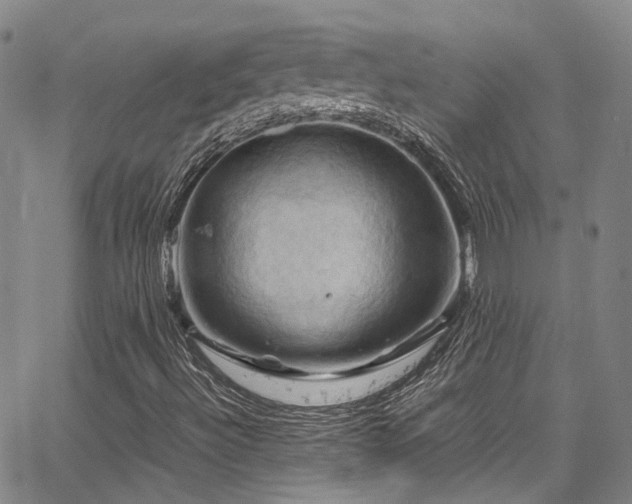 X0000066111492200603101153