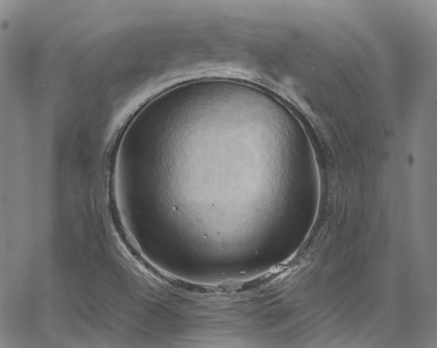 X0000066111504200603101153