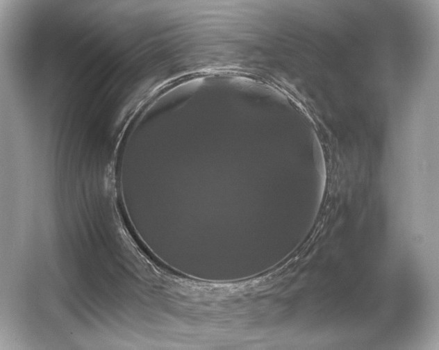 X0000066110002200603131314