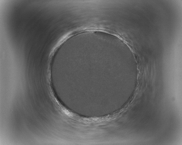 X0000066110005200603131314