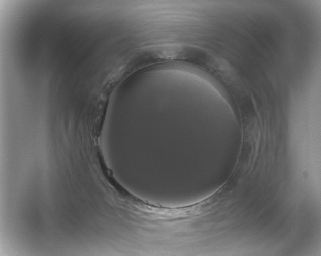 X0000066110031200603131314