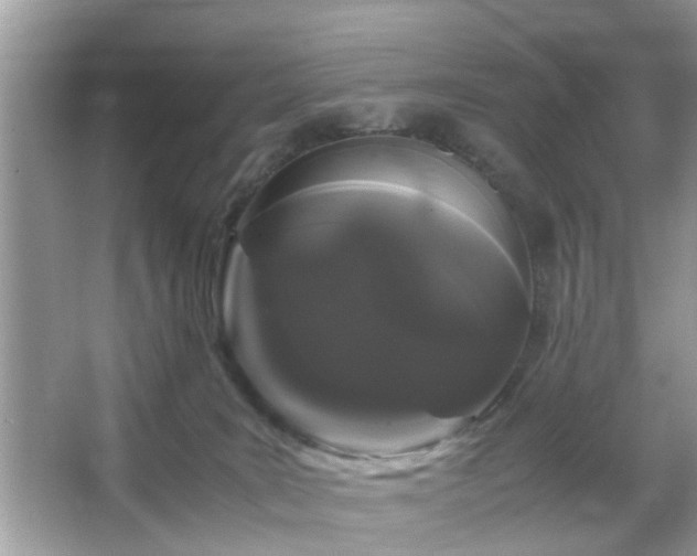 X0000066110035200603131313