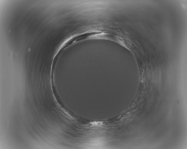 X0000066110052200603131312