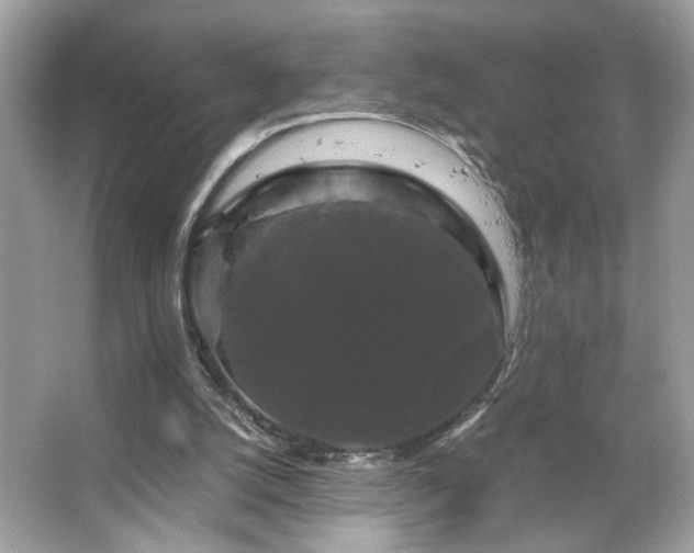 X0000066110056200603131313